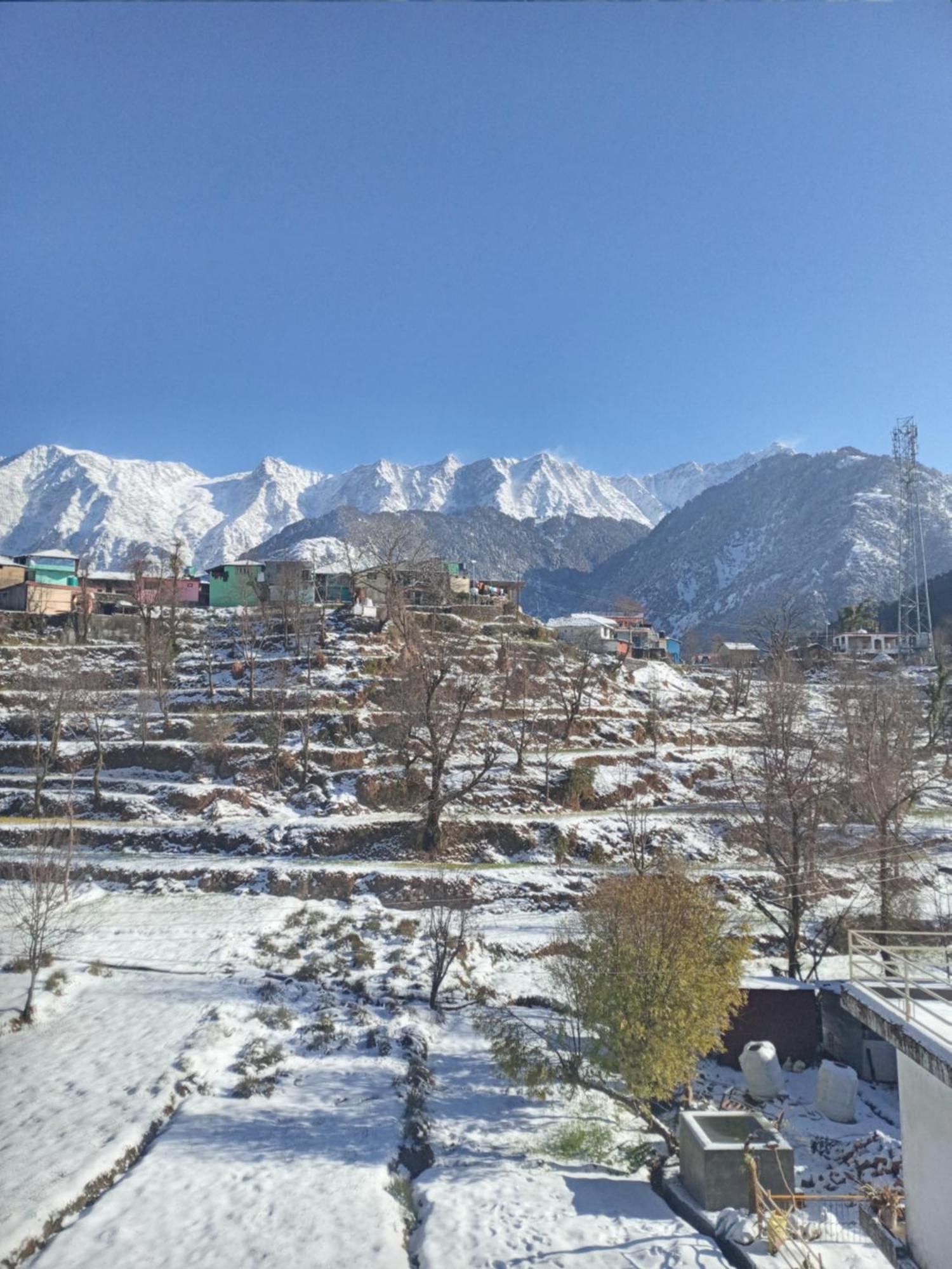 Nirmal Homestay Dharamshala Bagian luar foto