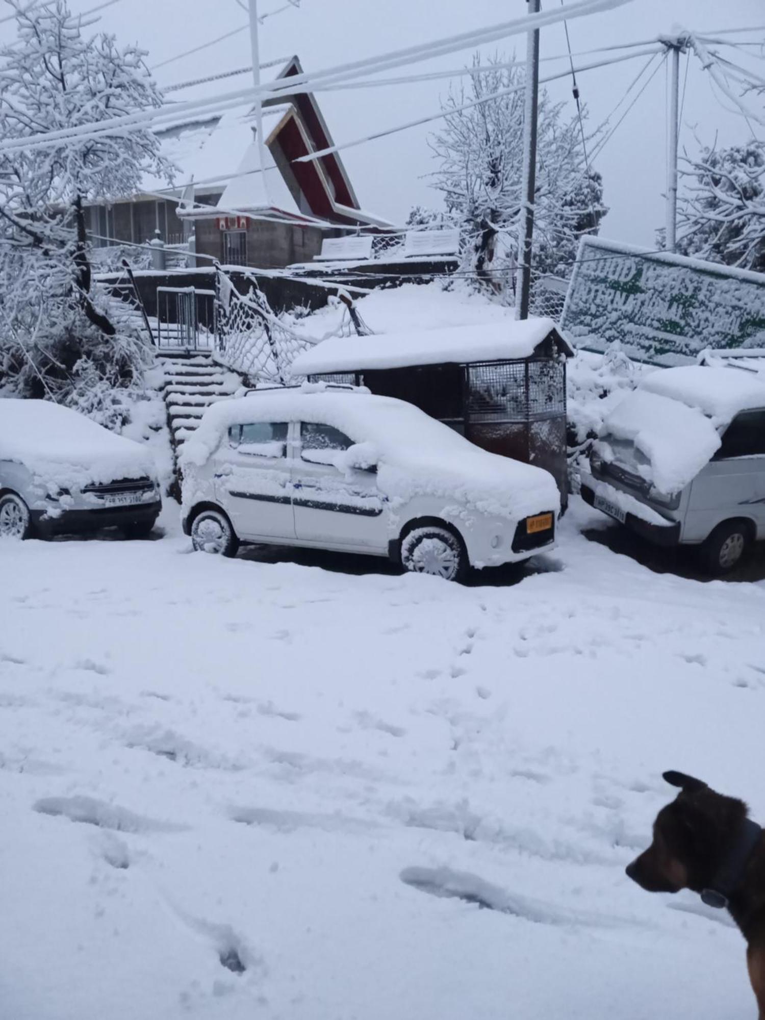 Nirmal Homestay Dharamshala Bagian luar foto