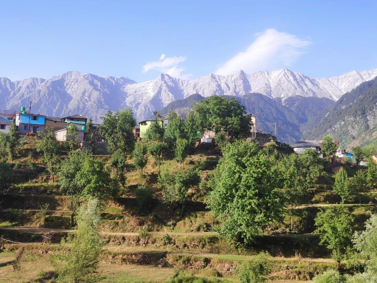 Nirmal Homestay Dharamshala Bagian luar foto