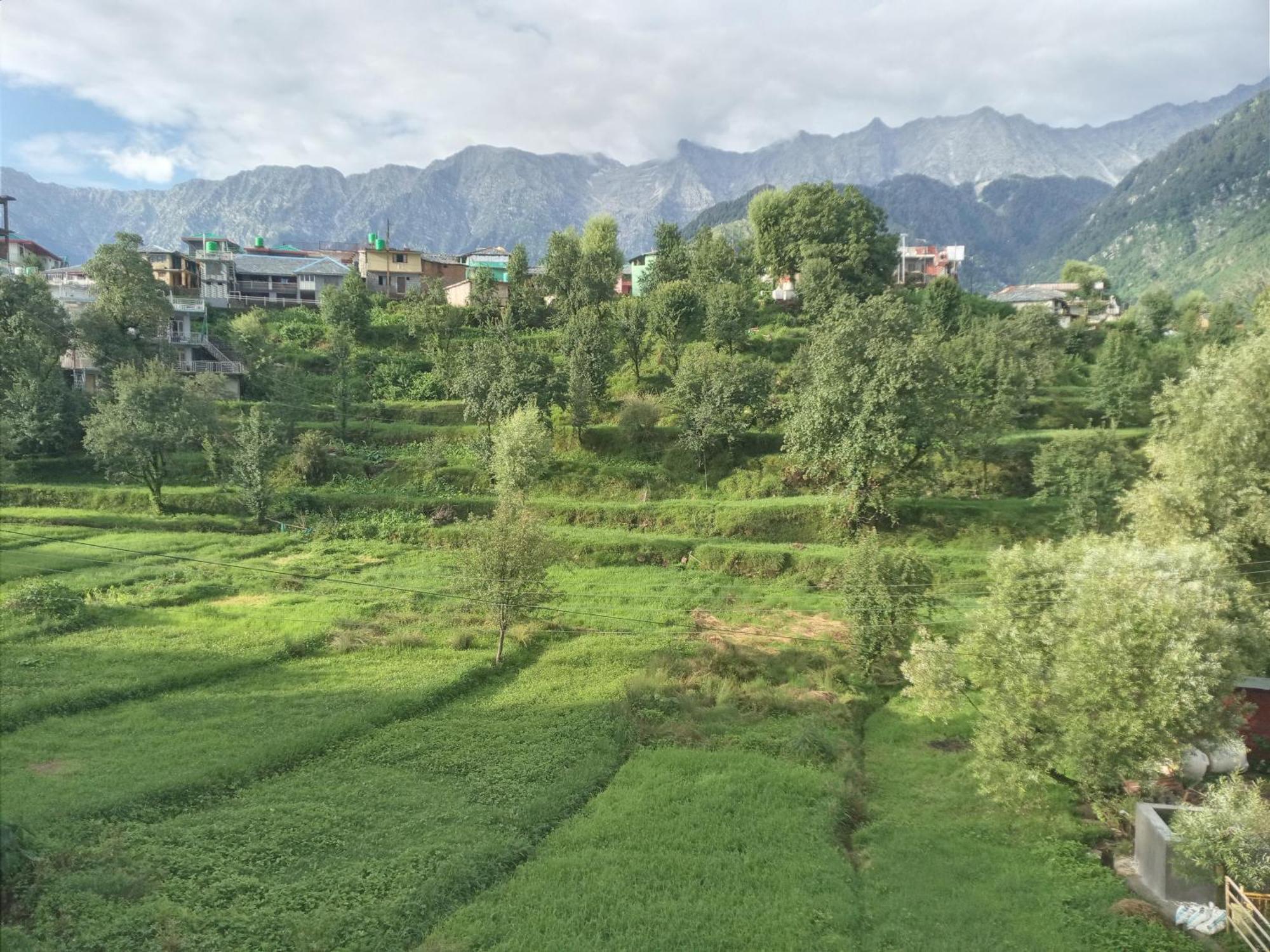 Nirmal Homestay Dharamshala Bagian luar foto